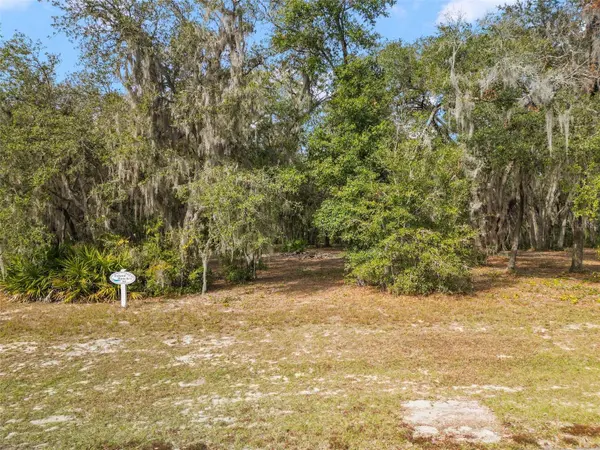 3163 BRIGHT LAKE CIR, Groveland, FL 34736