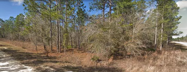 13078 VELVET SCOTER AVE, Brooksville, FL 34614