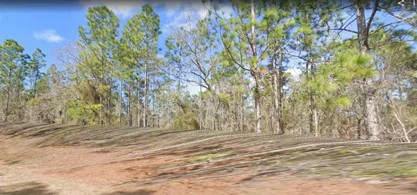 13078 VELVET SCOTER AVE, Brooksville, FL 34614