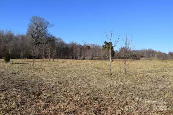 0 Prince RD #3, Columbus, NC 28722