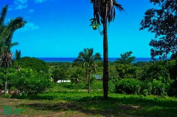 La Reserva Camaronal Lot 11 / Playa Camaronal, 50903