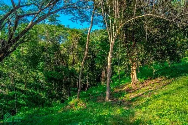 La Reserva Camaronal Lot 12 / Playa Camaronal, 50903