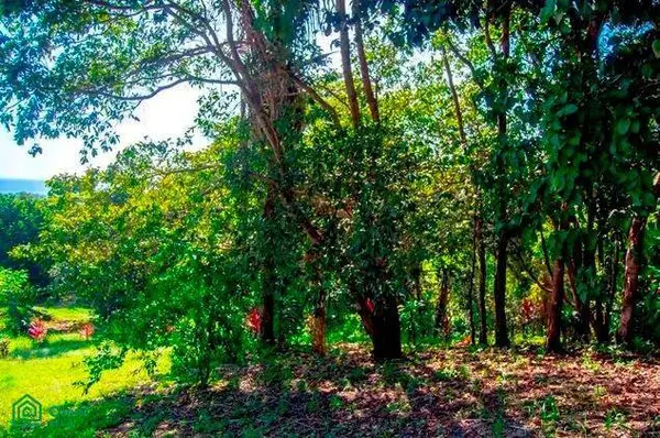 La Reserva Camaronal Lot 11 / Playa Camaronal, 50903