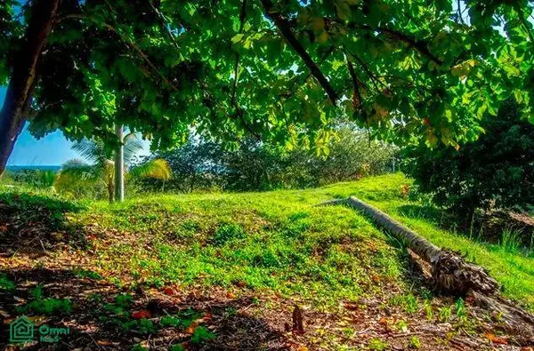 La Reserva Camaronal Lot 12 / Playa Camaronal, 50903