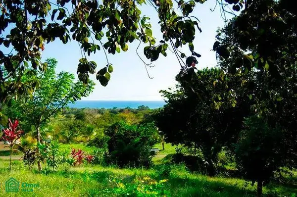 La Reserva Camaronal Lot 12 / Playa Camaronal, 50903