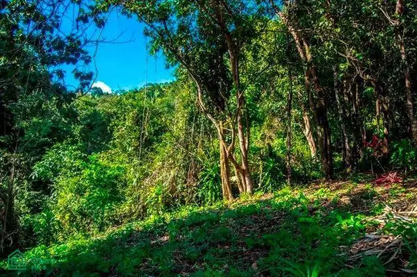 La Reserva Camaronal Lot 12 / Playa Camaronal, 50903