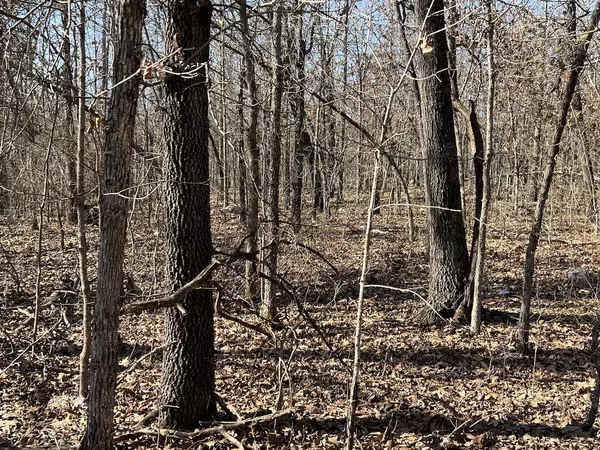 40 Acres in Mammoth Spring Arkansas