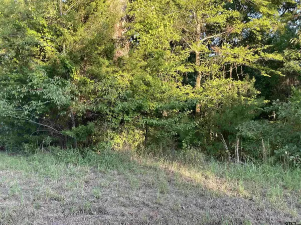 15852 Stillwaters, Lindale, TX 75771