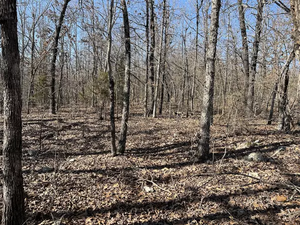 40 Acres in Mammoth Spring Arkansas