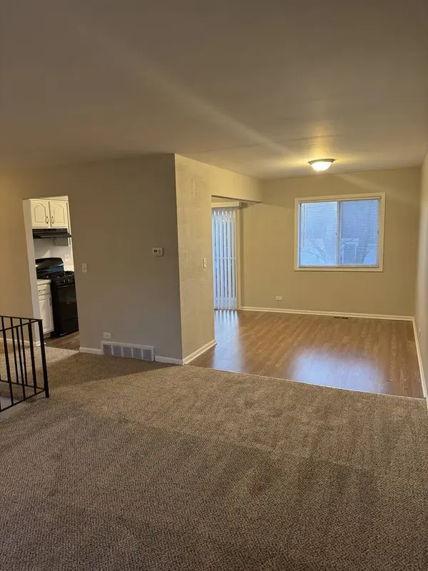 125 Butternut Drive, Bolingbrook, IL 60440