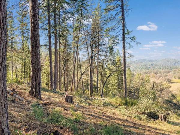 11289 East Lime Kiln RD, Grass Valley, CA 95949