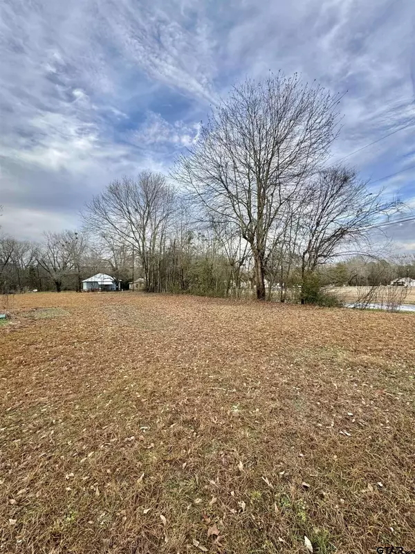 905 Matilda St, Troup, TX 75789