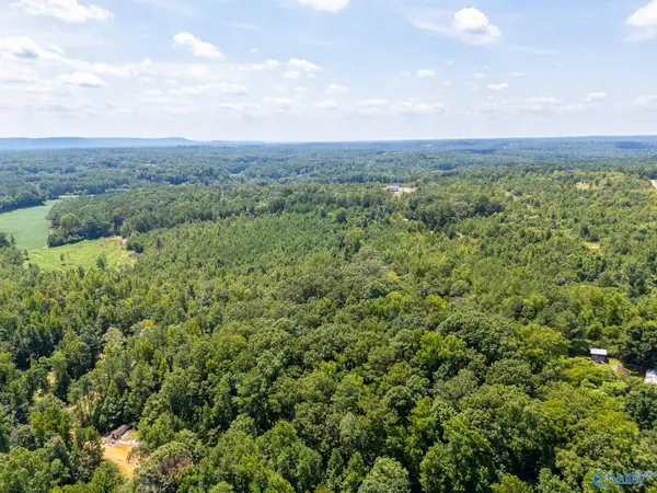 Lot 4 Curry Chapel Road, Somerville, AL 35670