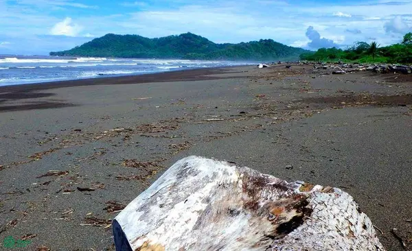 La Reserva Camaronal Lot 35 / Playa Camaronal, 50903