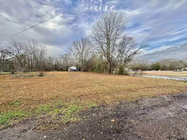 905 Matilda St, Troup, TX 75789