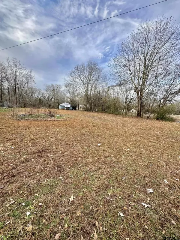 905 Matilda St, Troup, TX 75789