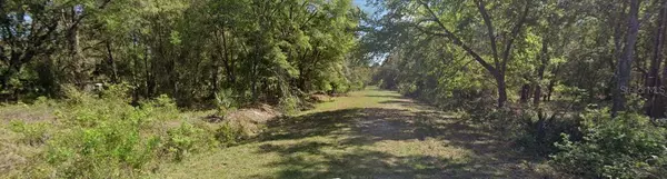 105 CHIPOLA DR, Georgetown, FL 32139