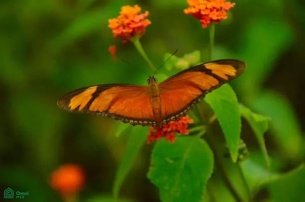 La Reserva Camaronal Lot 44 / Playa Camaronal, 50903