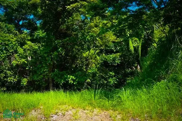 La Reserva Camaronal Lot 45 / Playa Camaronal, 50903