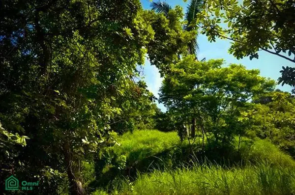 La Reserva Camaronal Lot 45 / Playa Camaronal, 50903