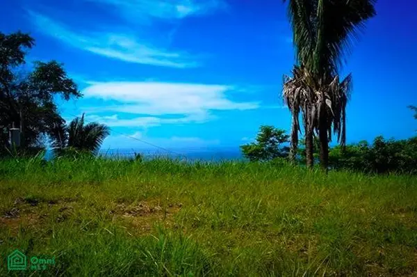 La Reserva Camaronal Lot 43 / Playa Camaronal, 50903