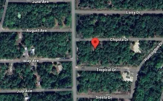 105 CHIPOLA DR, Georgetown, FL 32139