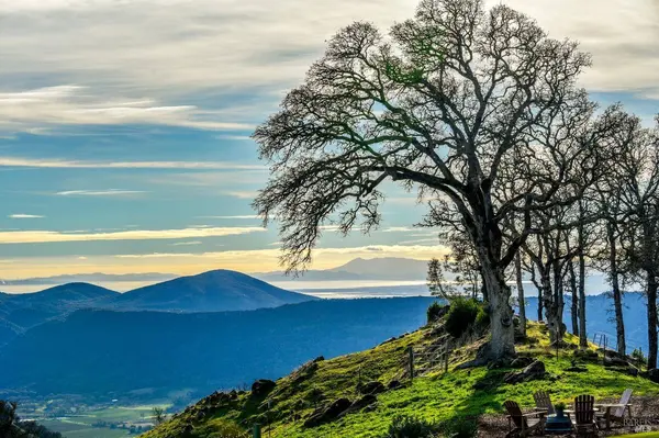 100 Longhorn Ridge RD, Napa, CA 94558