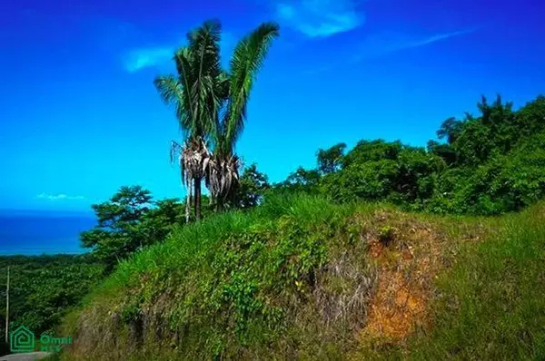 La Reserva Camaronal Lot 43 / Playa Camaronal, 50903