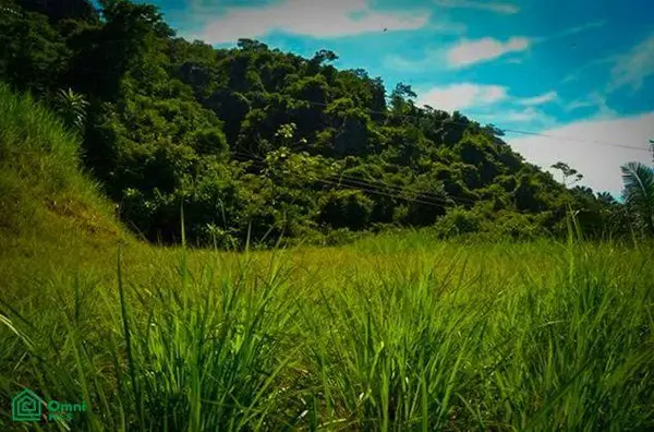 La Reserva Camaronal Lot 43 / Playa Camaronal, 50903