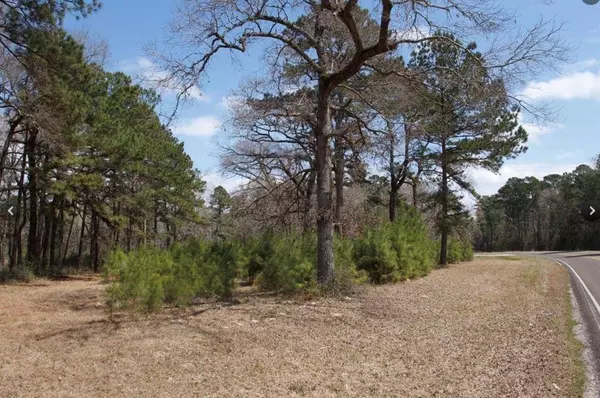 4345 FM 3188, Trinity, TX 75862