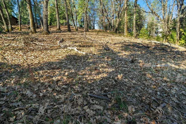 16929 Lawrence WAY, Grass Valley, CA 95949