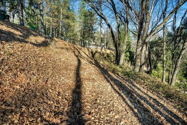 16929 Lawrence WAY, Grass Valley, CA 95949