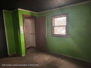 528 S Pine River Street, Ithaca, MI 48847, Ithaca, MI 48847