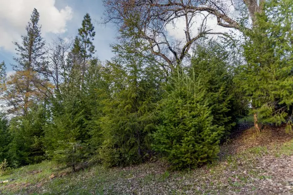 10056 Turkey Trot PL, Grass Valley, CA 95949