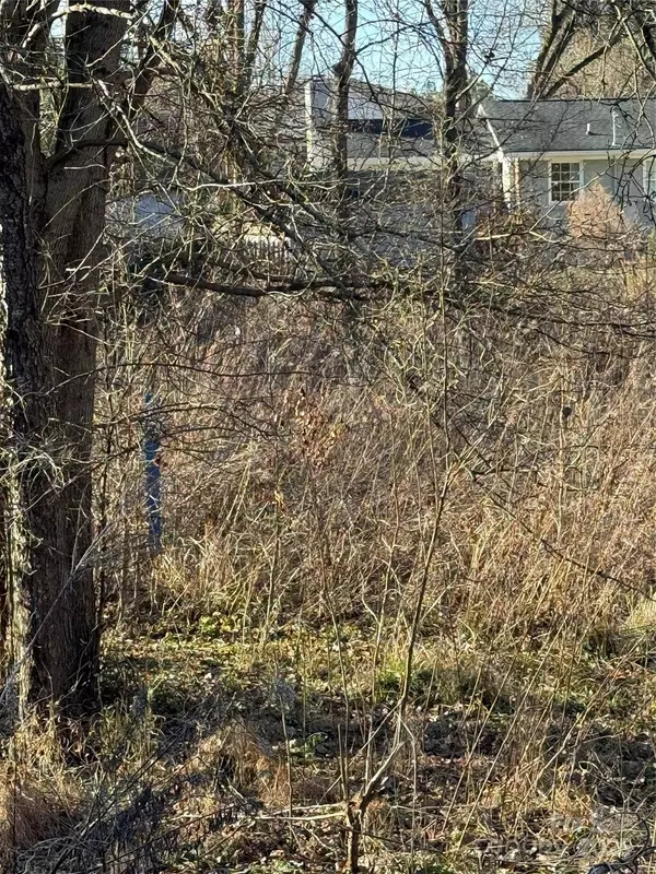 117 W Leroy ST, Fort Mill, SC 29715