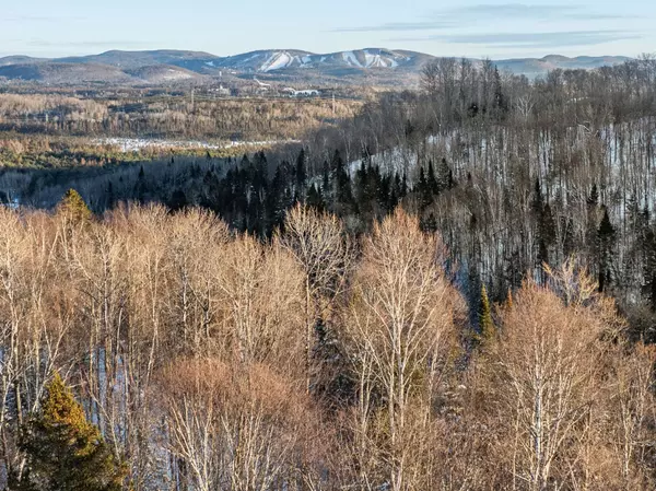 400 8e Rang, Mont-tremblant, QC J8E1X1