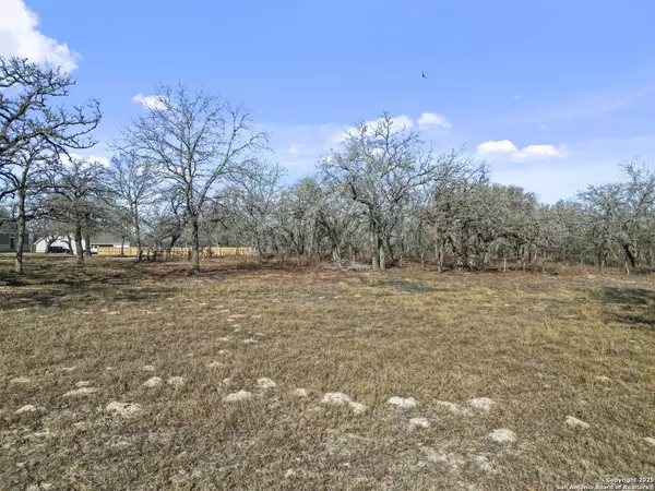 161 HONDO RIDGE, La Vernia, TX 78121