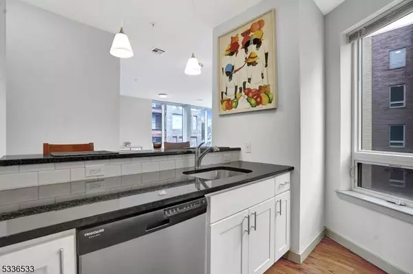 52 Lincoln Ave #305, City Of Orange Twp., NJ 07050