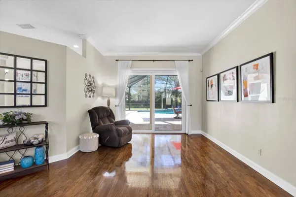 17112 DOWNS DR, Odessa, FL 33556