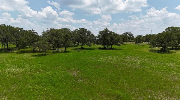 TBD (Tract 7) FM 60, Somerville, TX 77879