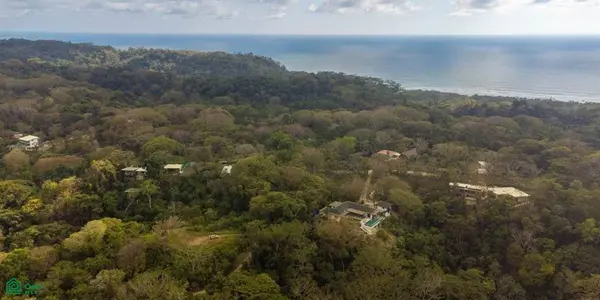 Villa Frangipani / Playa Hermosa, Santiago, Santa, Puntarenas, 60111