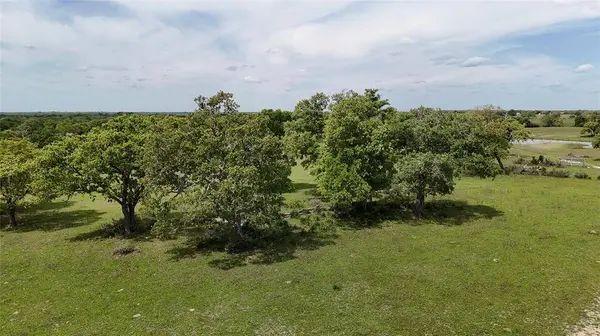 TBD (Tract 7) FM 60, Somerville, TX 77879