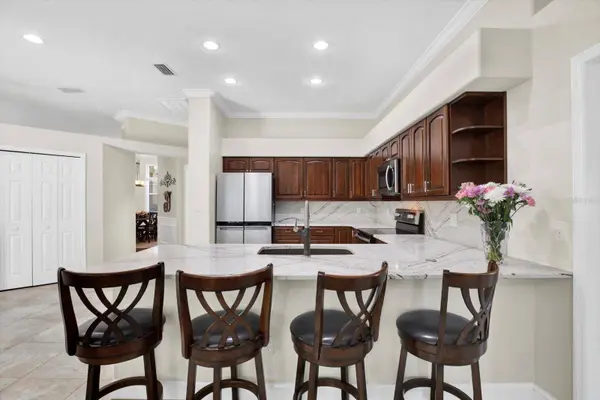 17112 DOWNS DR, Odessa, FL 33556