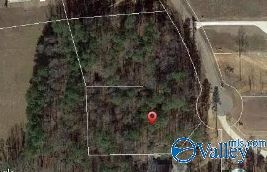 215 Freeman Road, Rogersville, AL 35652