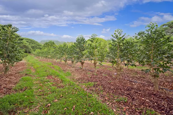 77-6223 KAUMALUMALU DR, Kailua-Kona, HI 96740