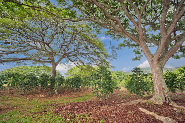 77-6223 KAUMALUMALU DR, Kailua-Kona, HI 96740