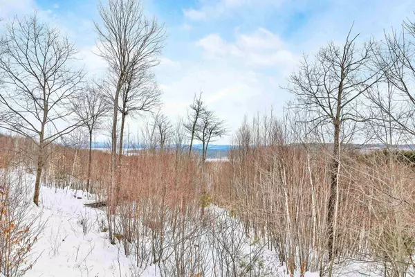 160 Alton Mountain RD #7, Alton, NH 03810