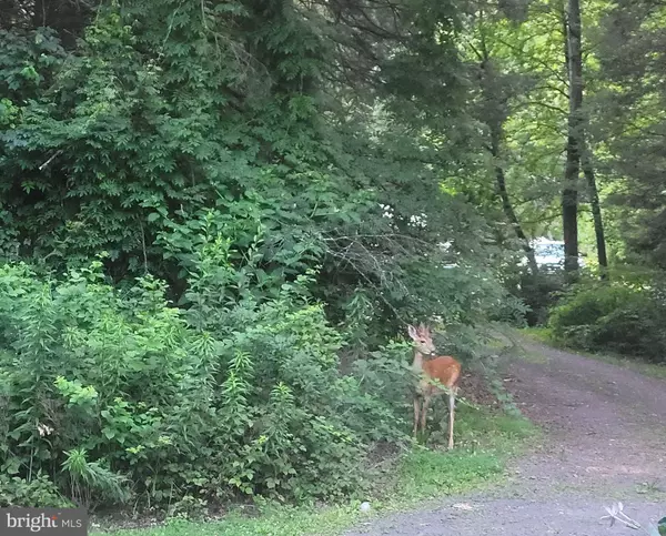 475 SHELLBARK DR, Newport, PA 17074