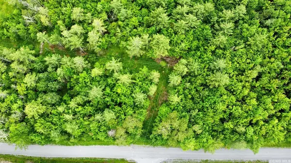 47 Shad RD, East Jewett, NY 12444