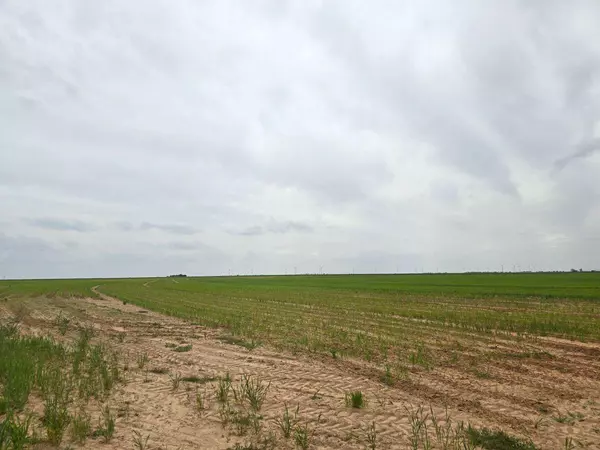 County Road 24, Tahoka, TX 79373